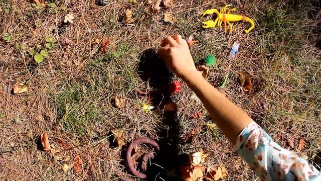 Распаковка игрушек насекомые смотреть онлайн