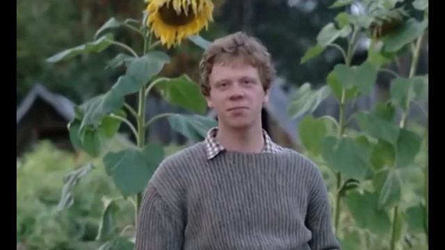 Ликвидация - о сериале и актерах