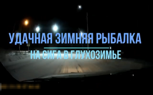 Удачная зимняя рыбалка на сига. 30-е января 2021