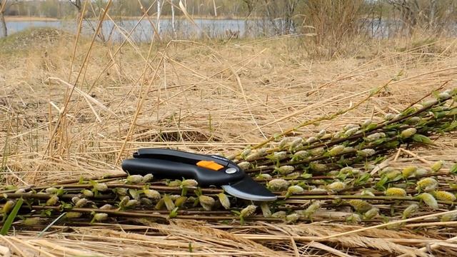 Лозоплетение смотреть онлайн