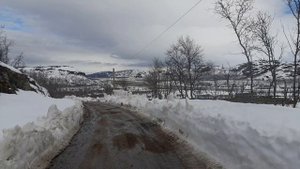 Титовка. Дорога к Рыбачьему (18.04.2023)(1).