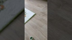 Удаление мелких царапин с ламината.