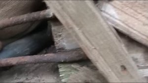 Поход в заброшенный лагерь ГУЛАГа Ельники #2