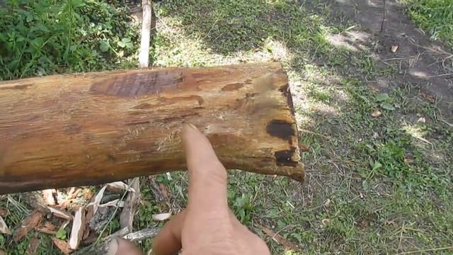 Деревянные столбы в землю, чтобы не гнили. Все тонкости. смотреть онлайн