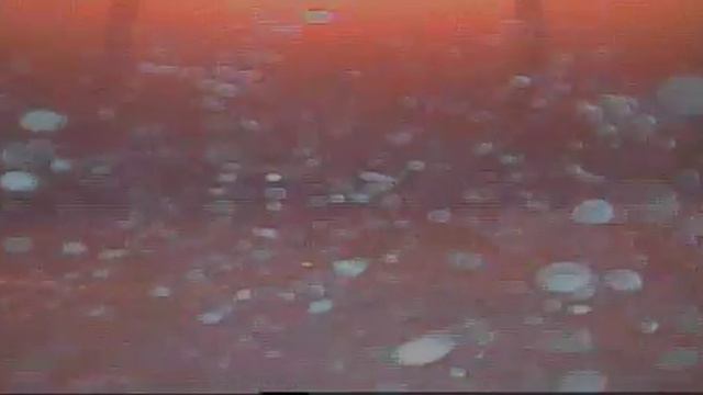 Тест Eyoyo EF15R смотреть онлайн