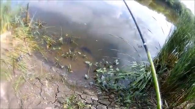 рыбалка между Шилово и Гремячьем Воронежская область 07.06.2019 смотреть онлайн