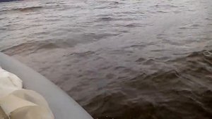 Адмирал 320 S по волне на "сур.море" .