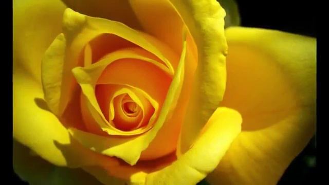 Мелодия для души. В одинокой ночи саксофон! In the смотреть онлайн