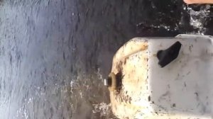 Лодка аква 2800 и мотор салют пробуем!