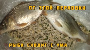 На эту ПЕРЛОВКУ рыба клюёт круглый год | Очень эффективная наживка на КАРАСЯ и КАРПА!!!