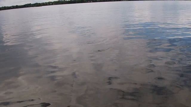 фестиваль Диалоги о рыбалке.Кириллов 2022 смотреть онлайн