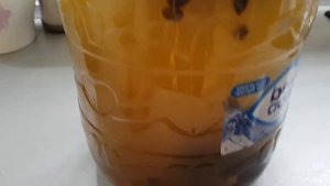 Хвойный квас на закваске