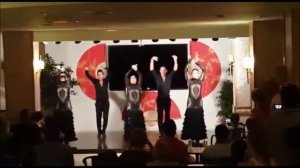 Flamenco Show at Sumus Hotel Stella & Spa***