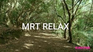 Meydan-Surreal-Forest | MRT RELAX