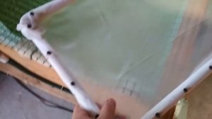 Карпы в самодельном бассейне # 1