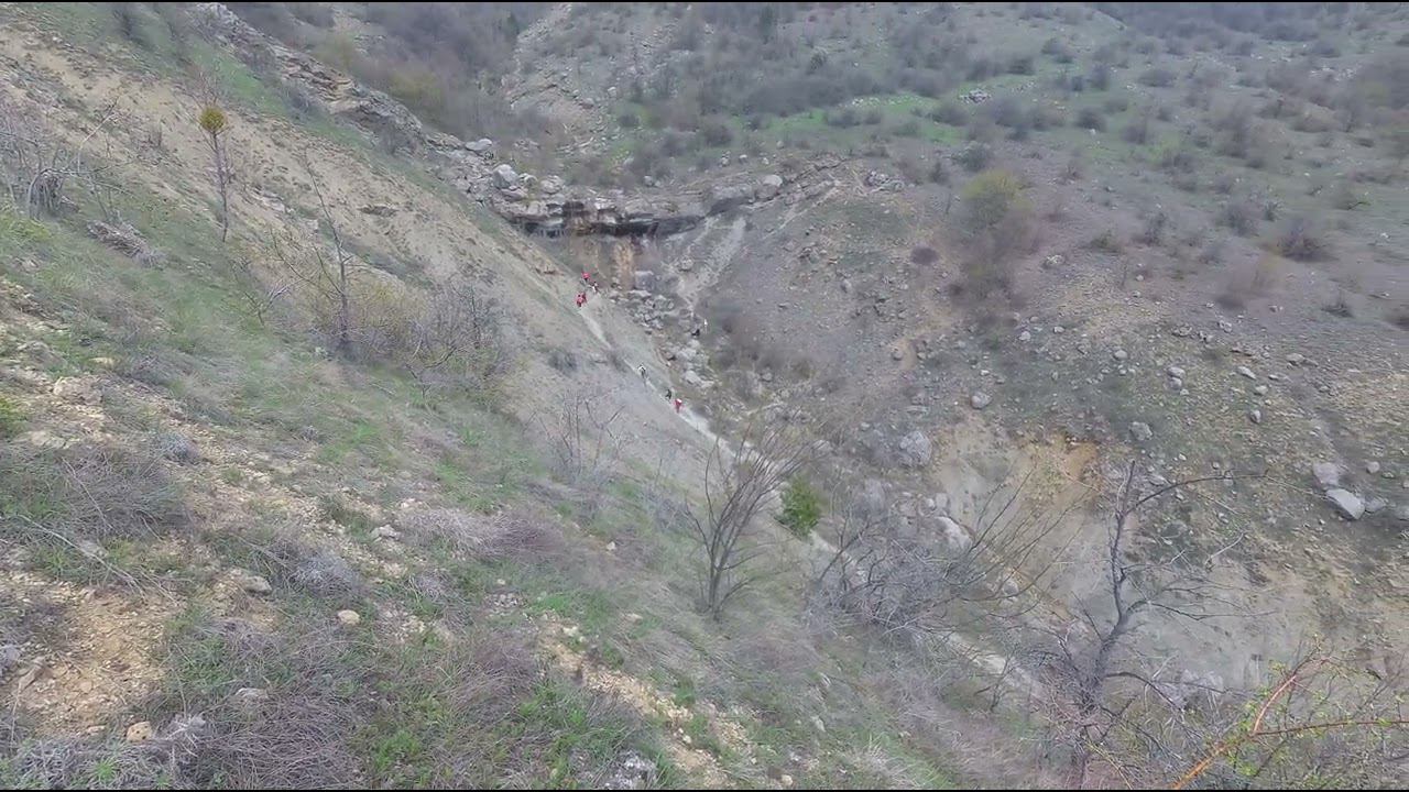 Зеленогорье 11