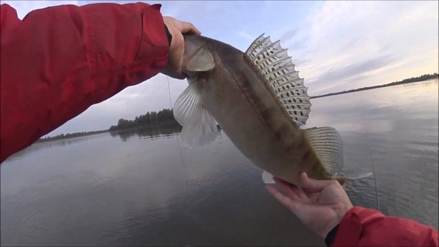 ЩУКА МОНСТР! Рекорд блога 2020! Эта приманка сделала мою рыбалку! KROKODILE PROBAITS! смотреть онлайн