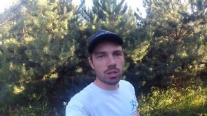 ЛЕСНАЯ ЗЕМЛЯНИКА ИДЕТ ПОЛНЫМ ХОДОМ