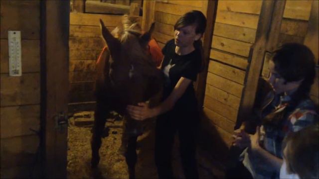 Кони и люди