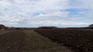 Дт 75 первая культивация с самоделным культиватором!