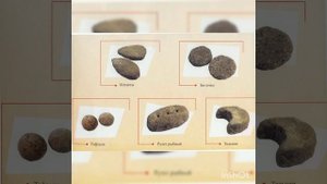 Приготовление полуфабрикатов из рыбной котлетной массы