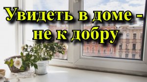 Увидеть в доме — не к добру.