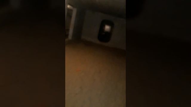 Обработка подвала от блох г Череповец СЭС-СЕРВИС смотреть онлайн