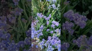 Как сушить статицу