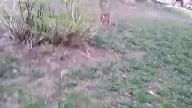 29 апреля 2016 г. смотреть онлайн