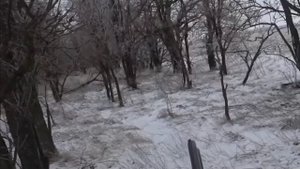 ( 18+) за _калмыцким_ зайцем (бакс продакшн и гоп компания).mp4