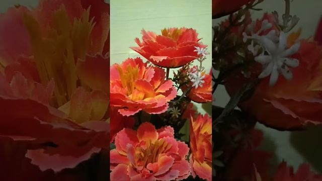 HELLO 1ST DAY OF November 1 смотреть онлайн