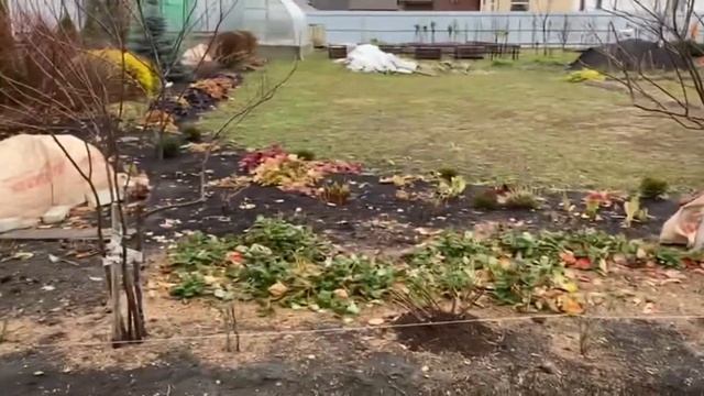 Показываю сад и огород, декоративные зоны, цветники. Осенний обзор участка смотреть онлайн