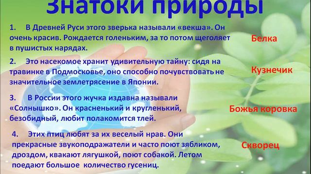 внеклассное мероприятие