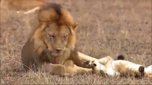 Такой большой секрет для маленькой компании