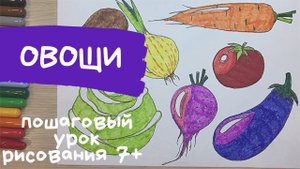 Овощи рисунок. Овощи рисунок для детей. Как нарисовать овощи. Продукты рисунок.