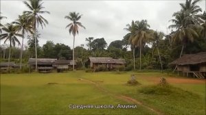 ПАПУА - НОВАЯ ГВИНЕЯ: Саго - всему голова! (2017) Д/Ф