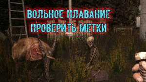 сталкер ВВЗ Воспоминание вольное плавание проверить метки взять с собой напарника вернуть Вещи