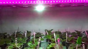 Полочка для цветов