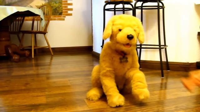 Интерактивная собака по имени Бисквит смотреть онлайн