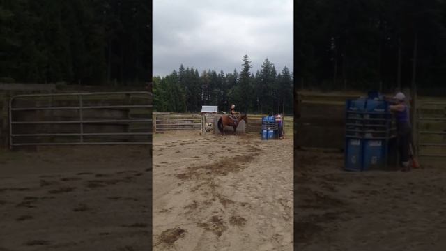 Bridle-less Breakaway Roping