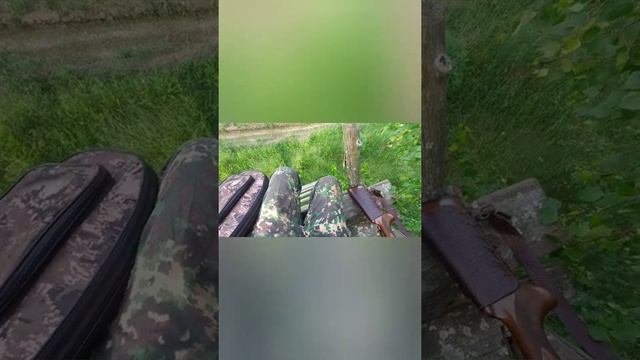 Охота на косулю в Беларуси лето 2022 смотреть онлайн