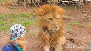 Что сегодня на обед