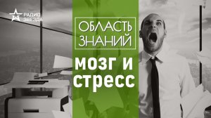 Как хронический стресс влияет на мозг человека? Лекция нейробиолога Вячеслава Дубынина.