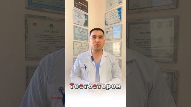 Тестостерон дегеніміз не? смотреть онлайн