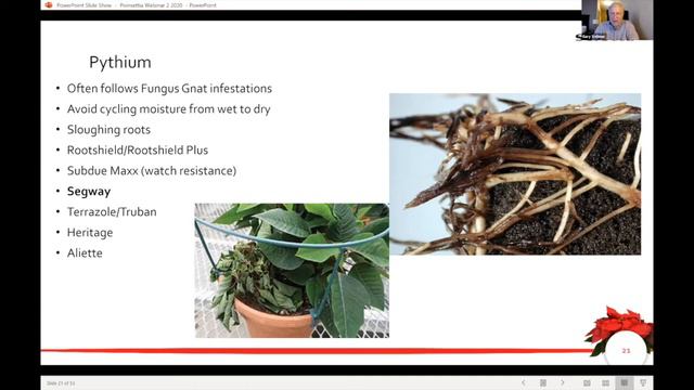 Tech On Demand: In the Break Room - Poinsettias (Part Fourteen) Finished Diseases смотреть онлайн