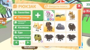 адопт ми