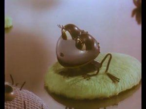 Лягушонок ищет папу