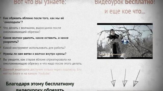 Видеоурок по обрезке яблони! как старая яблоня отреагировала на омолаживающую обрезку! Скачайте смотреть онлайн