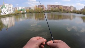 Карась , окунь . Мормышинг в городском пруду .