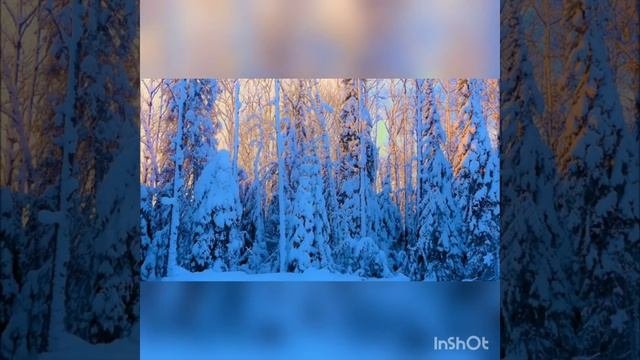 Новогодняя сказка!!!